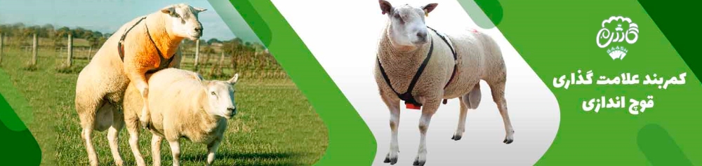 promo-banner-image