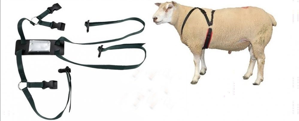 product-1-1 کمربند نشانه گذار قوچ اندازی - تصویر 1