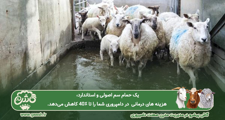 اصول فنی در طراحی و ساخت حمام سم استاندارد