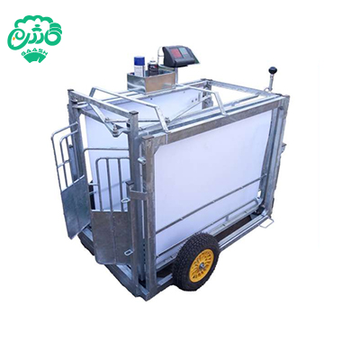 باسکول دامکش مدل صباح هوشمند