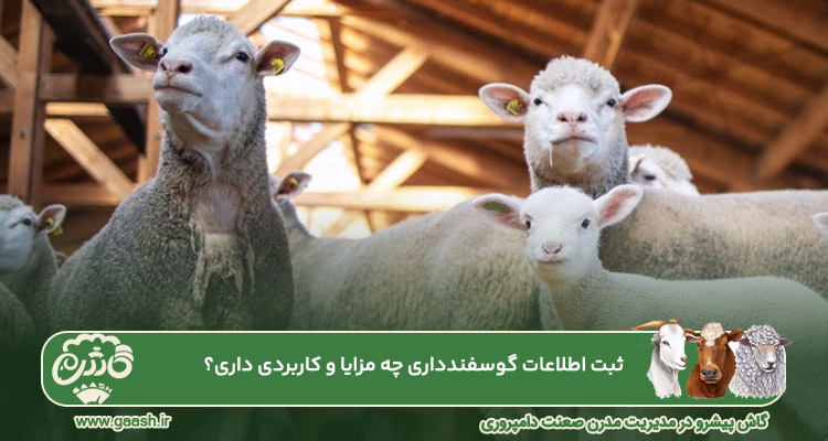 ثبت اطلاعات گوسفندداری