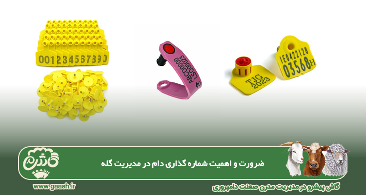 شماره گذاری دام