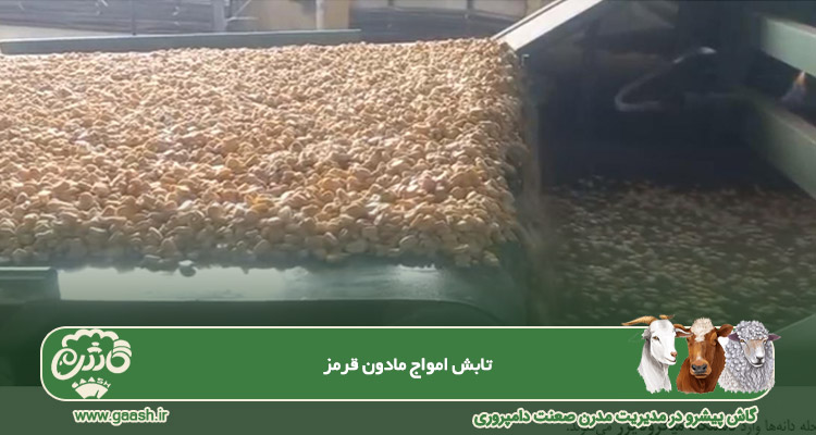 تابش امواج مادون قرمز