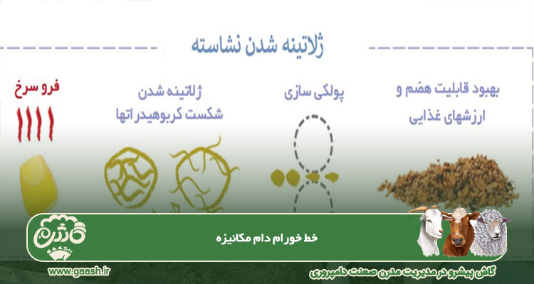خوراک دام مکانیزه